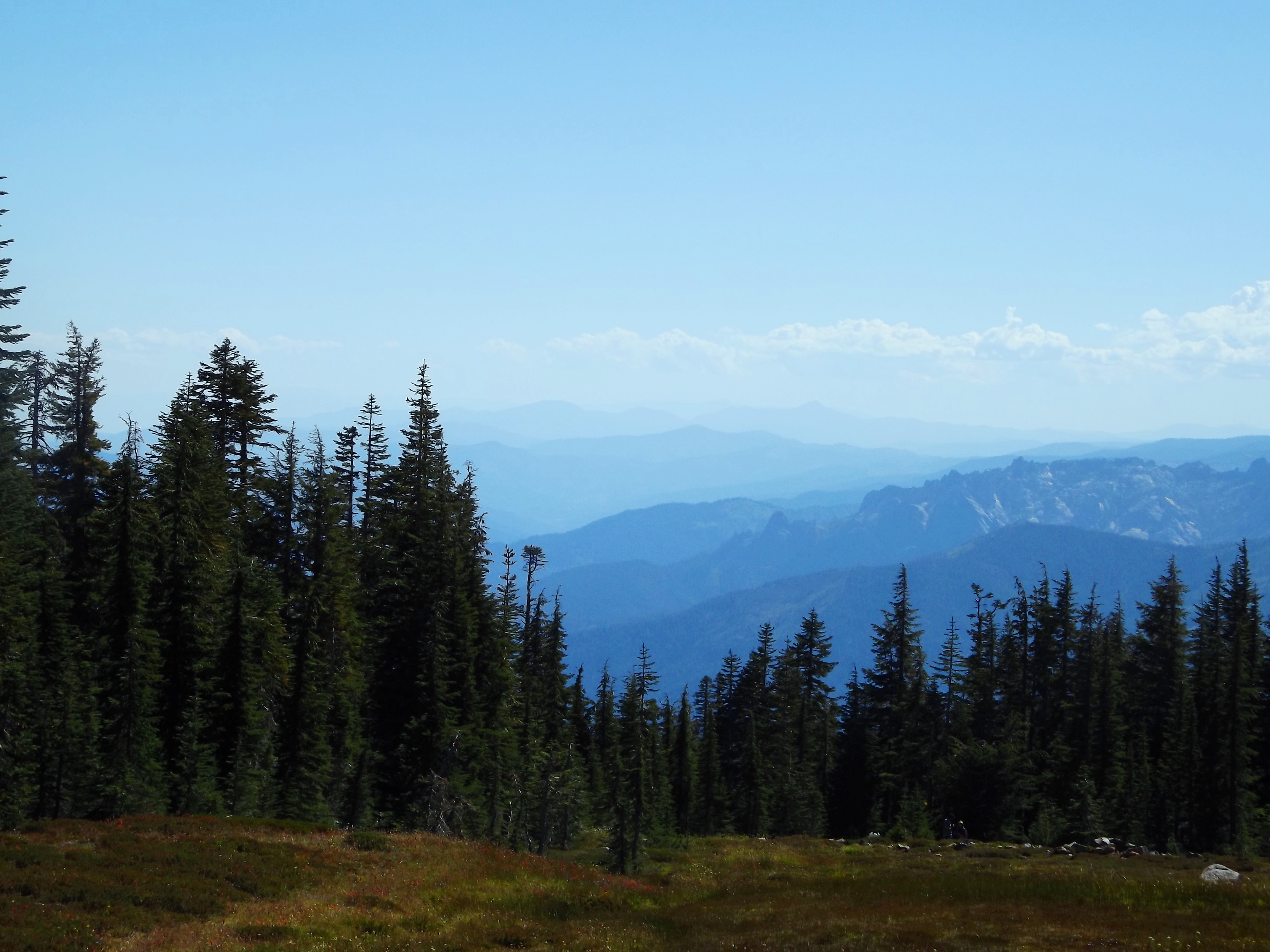 p meadows vista Face the Mountain